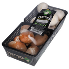 מארז פטריות
