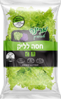 חסה לליק מרינה