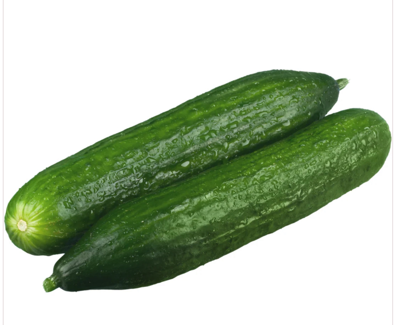 מלפפון חממה